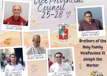 new ViceProvincialCouncil